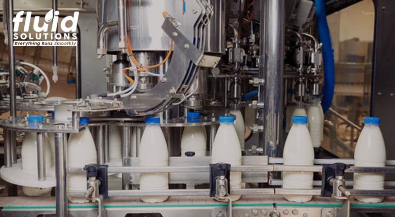 Automated bottling line filling milk bottles in a dairy processing plant.