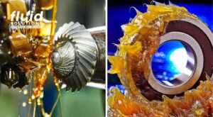 Industrial lubrication solutions for gears and bearings using oil and grease