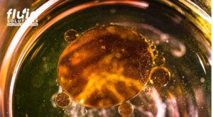 Close-up of oil droplets in liquid